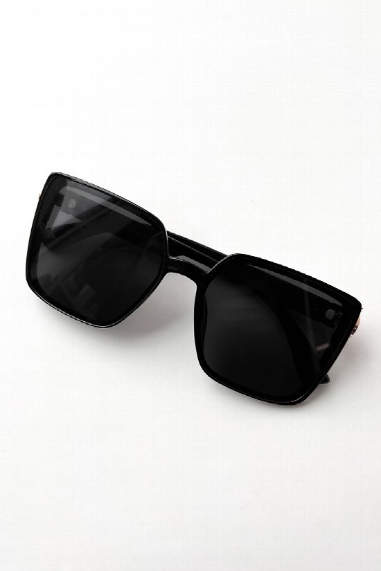 Shady Business Sunglasses 2